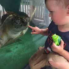 Whitney Laboratory for Marine Science