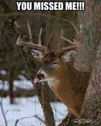Funny Hunting Quotes Kappit Deer Hunting Humor Hunting Humor Funny Hunting Pics