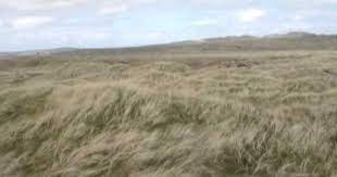 Ballyliffin Glashedy 12th Tee Box 360 Golf Tour Donegal Tours