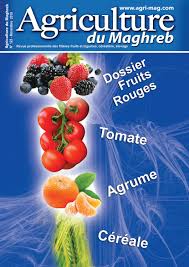 123 Agriculture Du Maghreb Novembre 2019 By Agriculture Du Maghreb Issuu