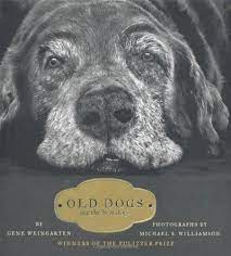 Old Dogs Are The Best Dogs Dog Books Old Dogs Best Dogs