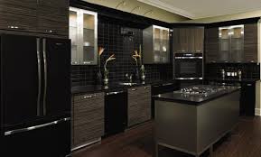 Kitchens with black appliances and glass. Black Kitchen Appliances