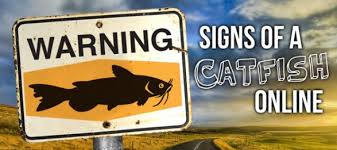 Image result for catfishing