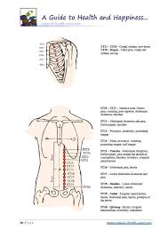 the body meridians book with meridian flows and acu points