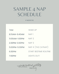 Sample Nap Schedules For Your Baby & Toddler — Mindful Sleep Consulting
