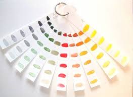 Lesson Plans For Teaching Watercolor To Beginners Lesson 1 Wetcanvas Teaching Watercolor Watercolor Lessons Learn Watercolor