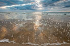 Padre Island National Seashore Home Facebook