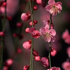 حبيتك أنا ضل تذكر هالكلمات By K Sheeny