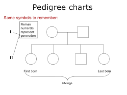 03 Pedigree Charts