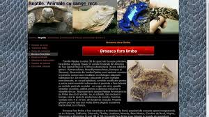 We did not find results for: Atestat Informatica Reptilele Animale Cu Sange Rece Atestat Informatica Html 2020