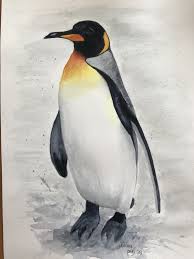 Pinguin Pinguins Tekenen