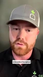 Episode 269: How SEED Development + Design went from struggle to success  with consulting and tech., Tune in to get all the details