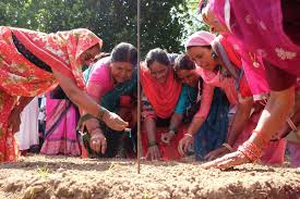 The purpose of the day is to bring increased awareness to worldwide environmental concerns, like climate change, deforestation, pollution of the world's oceans, and unsustainable development that could. Message For World Environment Day 5 June 2020 Navdanya International