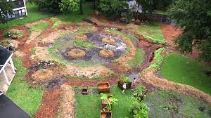 In fruit tree guilds, these companion plants work to create a supportive ecosystem. Permaculture Paradise Edgewood Gardens Fruit Trees Planting Part 1 Youtube