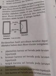 Maybe you would like to learn more about one of these? Berdasarkan Hasil Percobaan Tsb Dpt Diketahui Bahwa Daun Rhoeo Discolor Mengalami Brainly Co Id