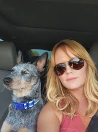 Training and Caring for Deaf Australian Cattle Dogs