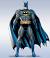 Bruce Wayne Body