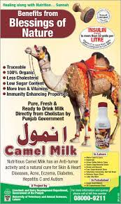 The prices of poultry items in lahore city are revised every day. Camel Farming In Pakistan Page 2 Pakistan Defence