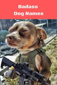 Tough Dog Names 70 Badass Dog Names Dog Name Hero Funny Dog Memes Funny Animal Memes Dog Memes