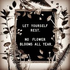 How to make cactus bloom all year round. Let Yourself Rest No Flower Blooms All Year Nature Rest Restore Recover Selfcare Selflove Love Bloom Blossom Strength Bloom Flowers Let It Be