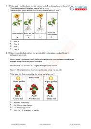 Download Class 2 Science Sample Papers As Printable Worksheets Exam Preparation Science Worksheets Sample Paper