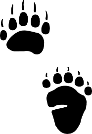 Gallery For Native American Bear Paw Print Bear Paw Print Bear Paw Tattoos Paw Stencil