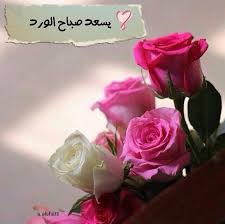 يسعد صباح الورد good morning flowers good morning arabic morning images
