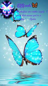 Is this butterfly meme generator. Yachi S Butterfly Temp Blank Template Imgflip