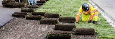 If i were doing it i would be quoting $ 7,500.00. Sod Vs Hydroseeding How Much Does Hydroseeding Cost Zodega