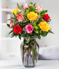 Dominican republic florist for colourful flowers and flower delivery available at attractive prices. 2cl Xgdz2et5gm