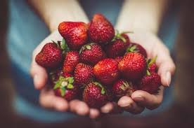 There is no problem if it is a small amount to give strawberries to cats. List Of Foods Can Your Cat Eat That All You Need To Know A Blog For Cat Owners Lovers