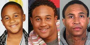 Not much known about his family, but orlando brown's. Remember Him Actor Orlando Brown Of That S So Raven Arrested For Battery And Drug Possession