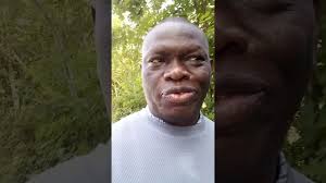 The evolution of Sweet Breeze