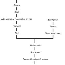 Flow Chart For The Japanese Sake Brewing Process Download