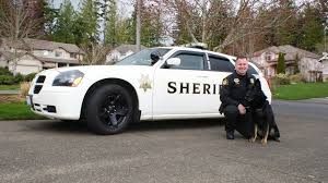 Image result for Sheriffs Tan 2018 Fleet