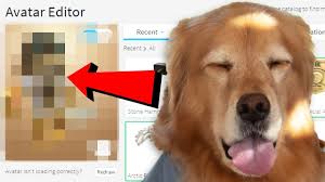 And jamming to your special tunes. Making My Dog A Roblox Account Youtube
