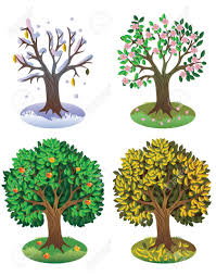 The weather is different during each season. Images For Seasons Of The Year Tree Seasons Of The Year Seasons Activities Seasons