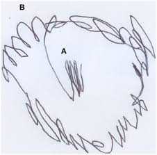 Image result for pictures drawn by toddlers