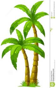 Apical at or on the apex of a structure, usually a shoot, a stem, or the trunk of a tree, e.g. 7 Best Cartoon Palm Tree Ideas Cartoon Palm Tree Art For Kids Cartoon