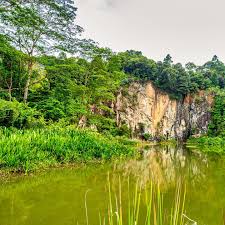 Temiz hava, ağaçlar n bitkilerle çevreleyen serin esinti. Siva Shoots Singapore Quarry Dairy Farm Nature Park Facebook