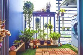 Rumah minimalis yang mungil dan luasnya yang tak seberapa, pasti membuat anda harus memutar otak. Tanaman Hias Untuk Mempercantik Rumah Minimalis