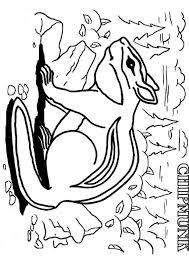 Chipmunk coloring pages to print. Chipmunk Coloring Pages To Print Coloring Home
