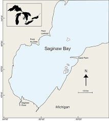 Managing The Impact Of Multiple Stressors In Saginaw Bay