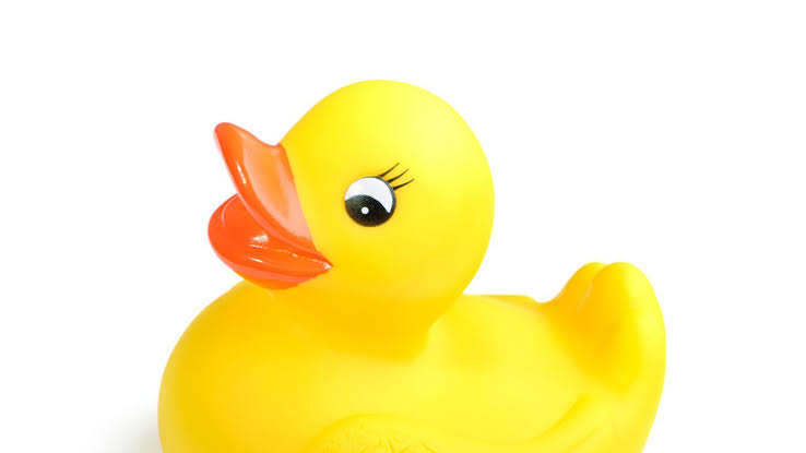 images?q=tbn:ANd9GcScA2nLyktDyDGDk9DFCTFGtEsUUtcTcyRNRg&usqp=CAU