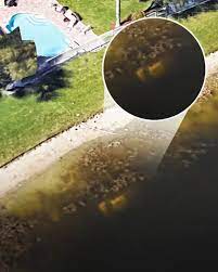 That sounds a long time ago but in the earth's timeline, it's really notit'sts pretty scary… 9.) google earth can solve mysteries I Found A Dead Body On Google Maps Facebook