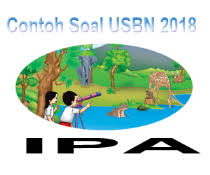 Check spelling or type a new query. Contoh Soal Isian Uraian Essay Usbn Sd Ipa 2018 Paket 2 Catatan Syahandrian Eda