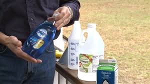 Vinegar contains acetic acid and can be used in diy organic weed killer recipes. How To Make A Non Toxic Weed Killer