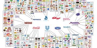 10 Companies That Control Almost Everything We Eat Giant