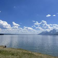 Stream Liam Gottlick music