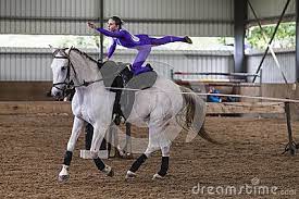 Horse Vaulting Equestrian Girl Vaulting Equestrian Horse Vaulting Horses